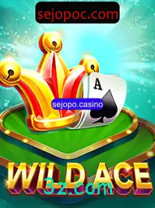 Descubra o Mundo de WildAce no Sejopo Casino